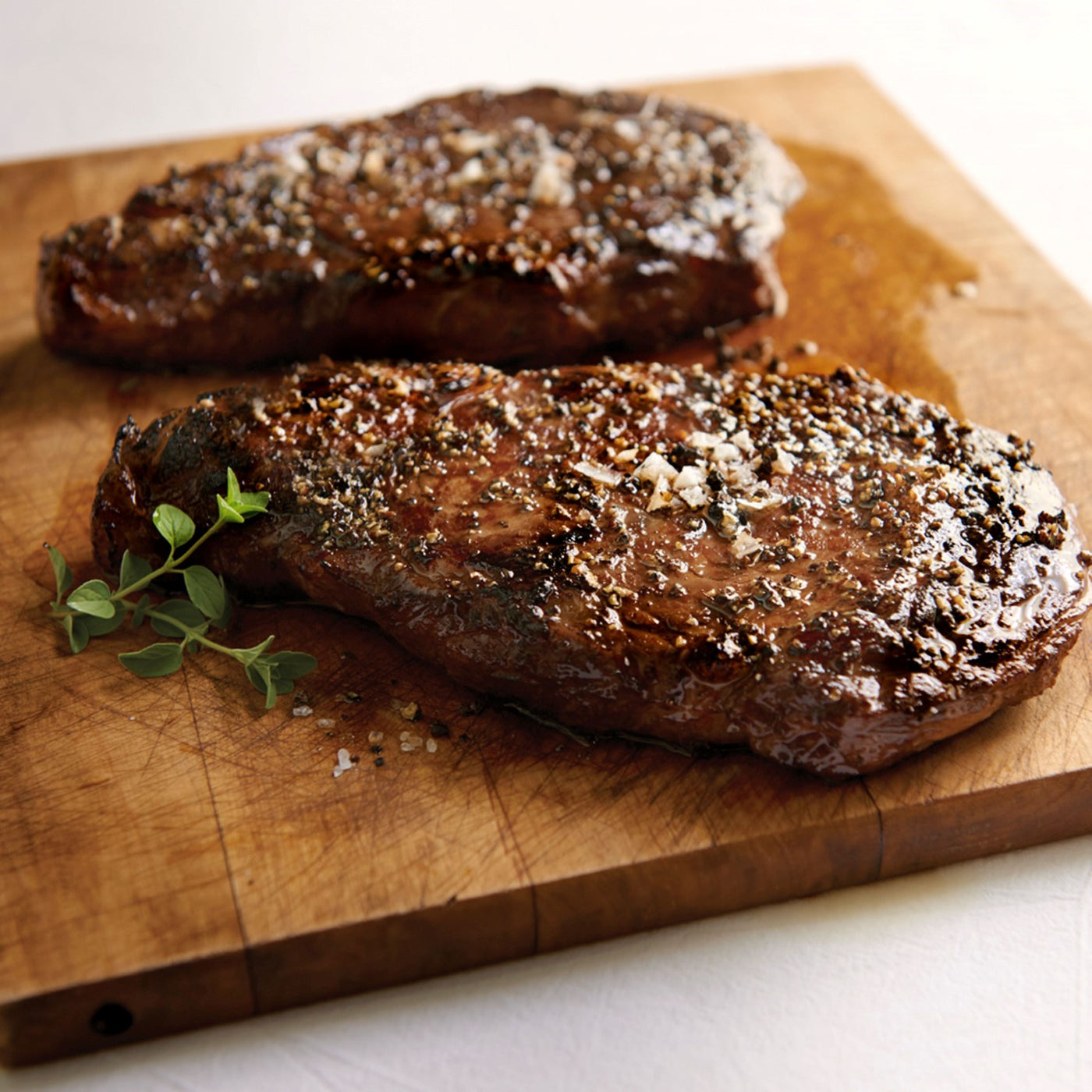 The Carnivore Collection